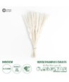 GloboStar® Artificial Garden REAL DRIED BEIGE PAMPAS GRASS BUNCH 21216 Αποξηραμένο Διακοσμητικό Μπουκέτο Pampas Μπέζ Y50cm - Σετ 15 τμχ